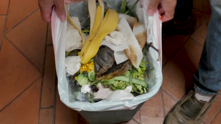 Reliable Queensland, MD Junk Removal Services Solutions